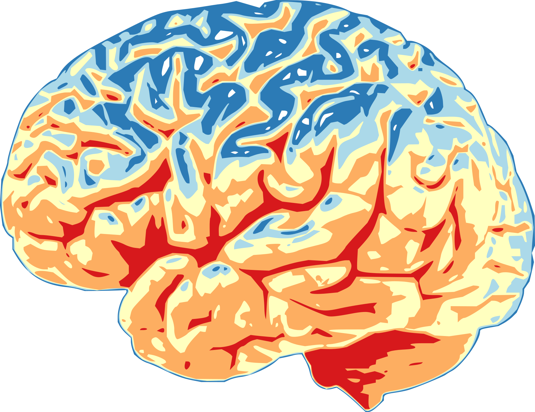 Blood Brain Barrier Dementia Alzheimer S Dr Blake Porter